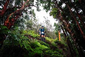 BIB: 
                            <button type="button" onclick="openModal(26202043)" class="btn btn-primary btn-sm float-right btn-popup" data-toggle="modal" data-target=".modal-high-quality">
                        <i class="fas fa-shopping-cart"></i> Add to Cart
                    </button>
                                            <button type="button" onclick="isThisMe(26202043, true)" class="btn btn-success btn-sm float-right btn-popup btn-isme hidden" data-toggle="tooltip" data-placement="bottom" title="นี่คือรูปของคุณใช่ไหม คลิกที่นี่เพื่อเอาเข้าอัลบั้ม">
                        <i class="fas fa-plus"></i> Add to album
                    </button>
                    <button type="button" onclick="isThisMe(26202043, false)" class="btn btn-warning btn-sm float-right btn-popup btn-isnotme hidden">
                        <i class="fas fa-ban"></i> Remove from album
                    </button>